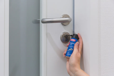 Pflegespray PS88 50ml